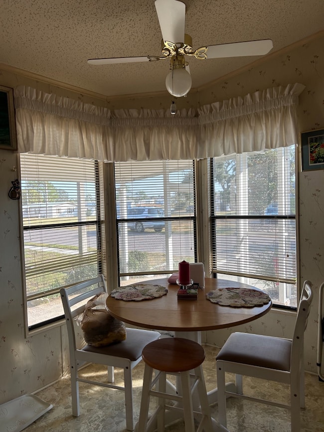 4631 Tangelo Dr, Zephyrhills, FL 33541 - photo 4