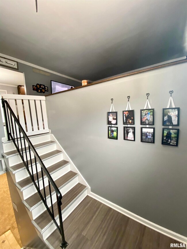 870 S Maple St, Virginia, IL 62691 - photo 5