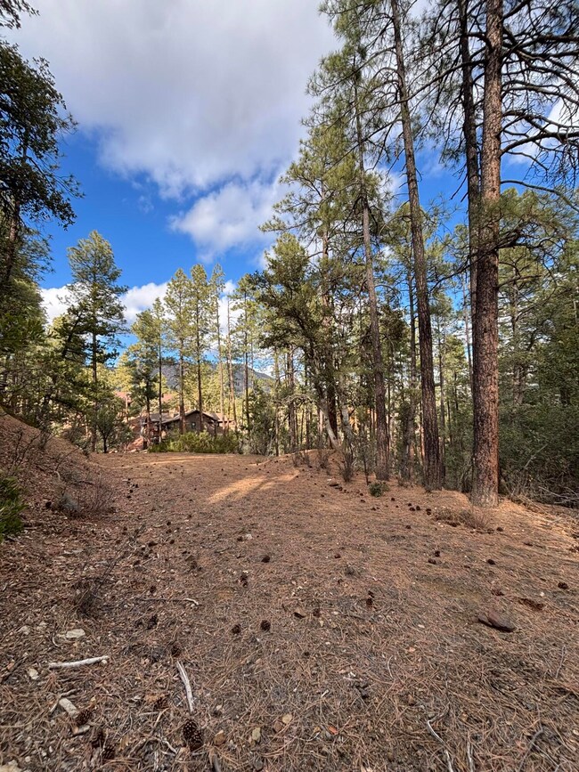 398 B & C Apache Trail, Pine, AZ 85544 - photo 4