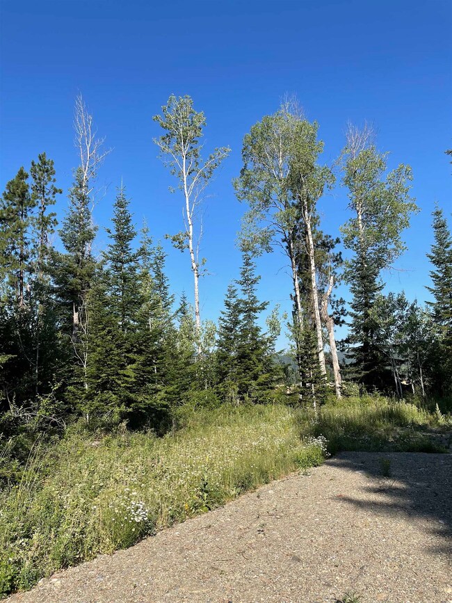 360 Chuck Wagon Ln, Cusick, WA 99119 - photo 4