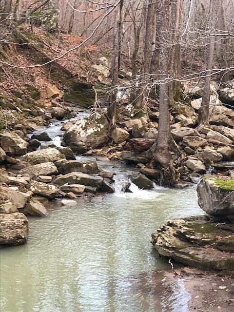 0 Nc 2660, Compton, AR 72601 - photo 6