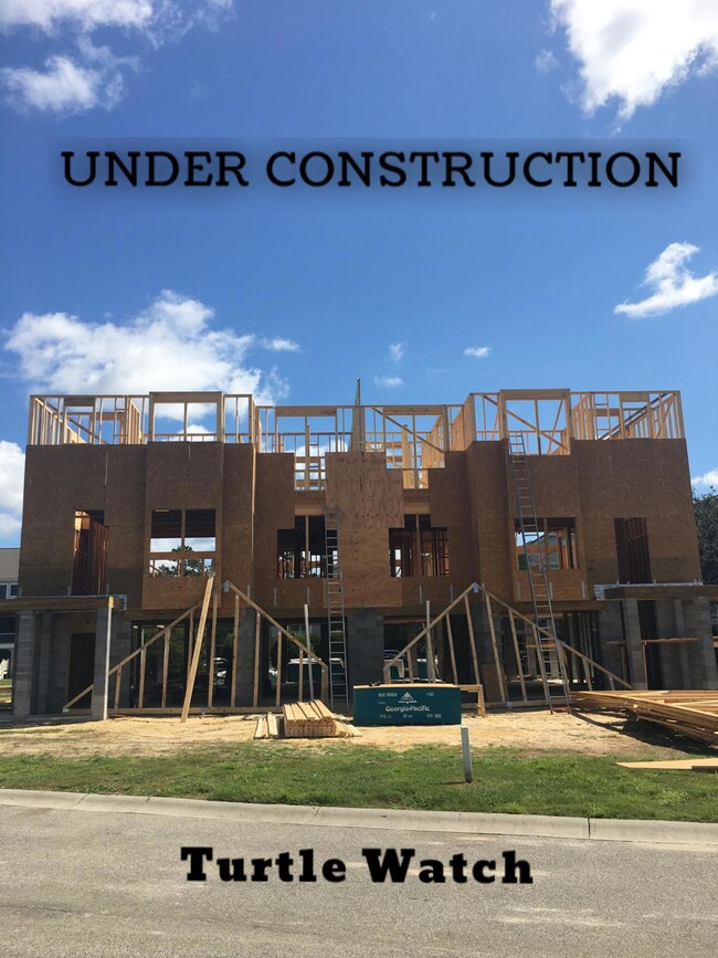 New Construction on Turtle Watch