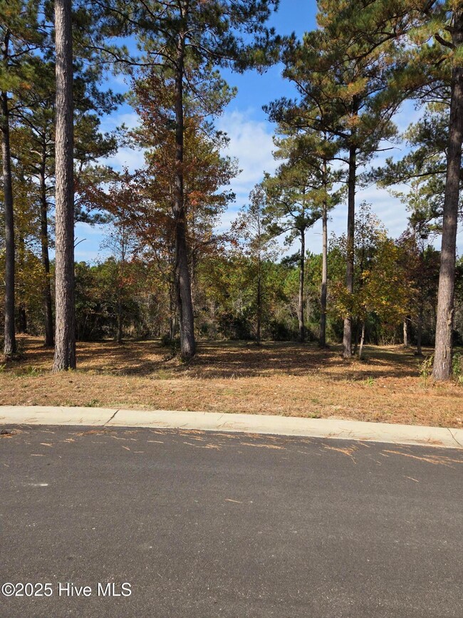 7475 Donegal Cir SW, Sunset Beach, NC 28468 - photo 4