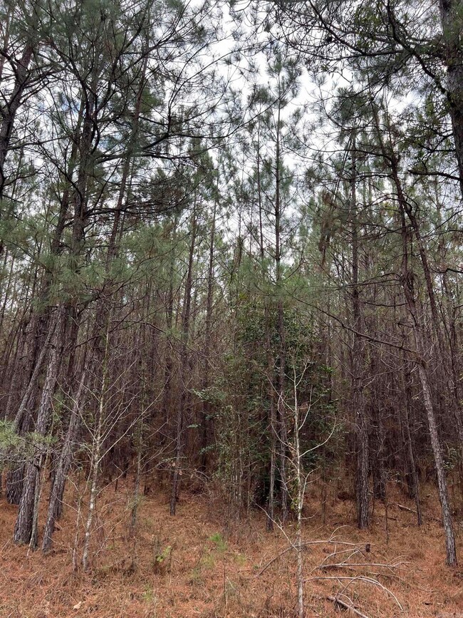 0 Kelly Ave E unit 24032577, Sparkman, AR 71763 - photo 4