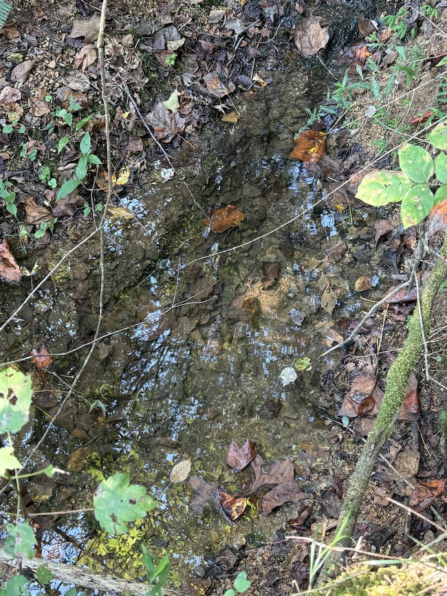 0 Waynesboro Hwy unit RTC2991221, Waynesboro, TN 38485 - photo 6