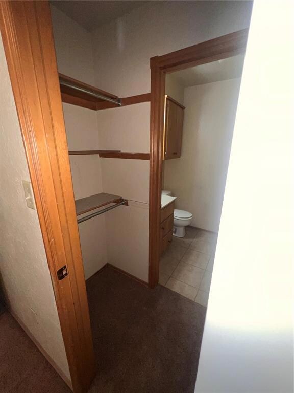Spacious closet with carpet floors