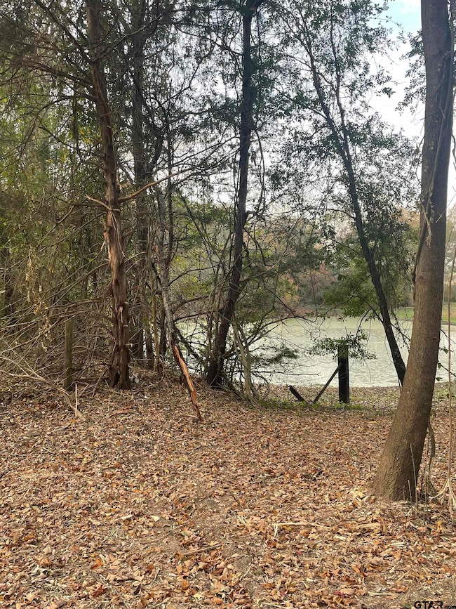 TBD Farm To Market Road 1804, Mineola, TX 75773 - photo 4