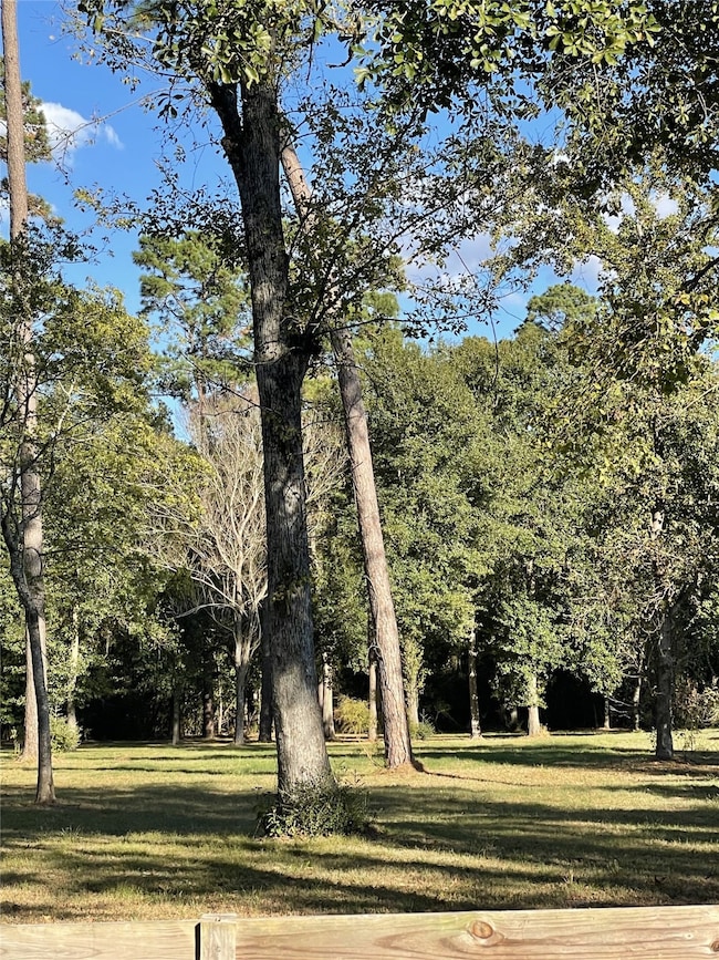 27110 Cherokee Ln, Magnolia, TX 77354 - photo 2