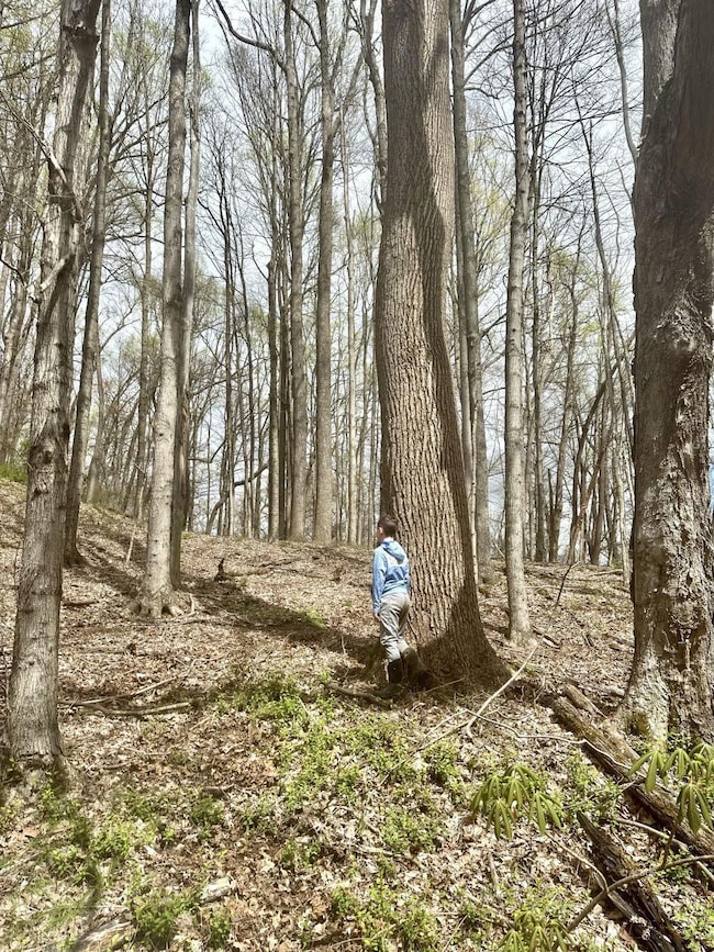 0 Little Kyger Rd, Cheshire, OH 45620 - photo 2