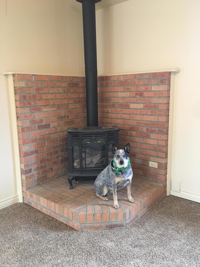 4101 Applewood Dr, Farmington, NM 87402 - photo 4