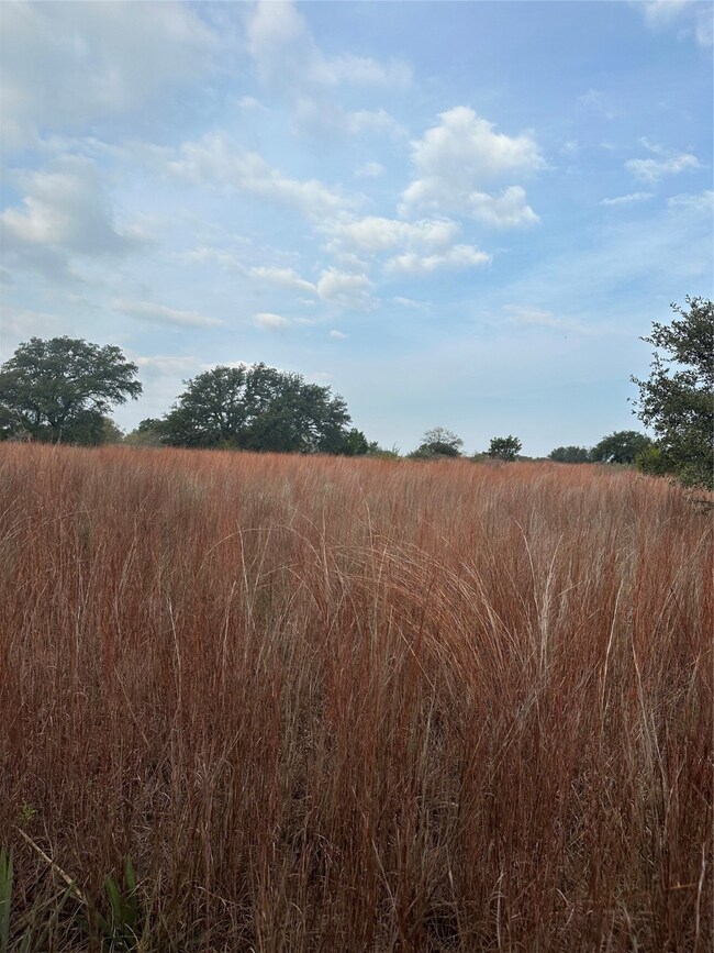 951 Fm 573 S, Mullin, TX 76864 - photo 5