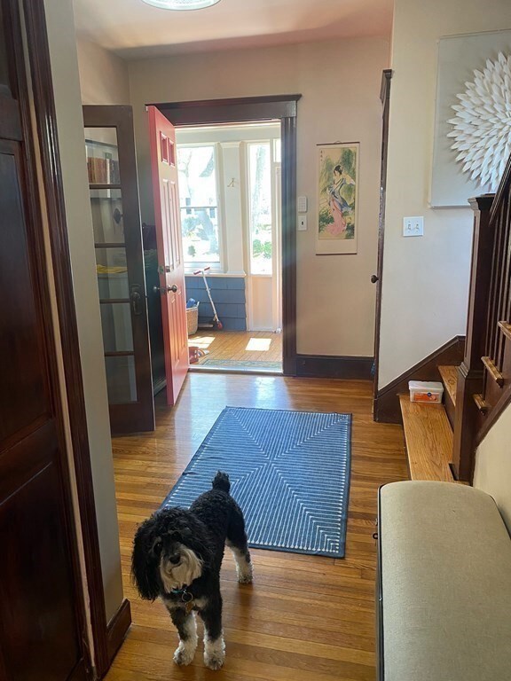 35 Eliot St unit SF, Chestnut Hill, MA 02467 - photo 6