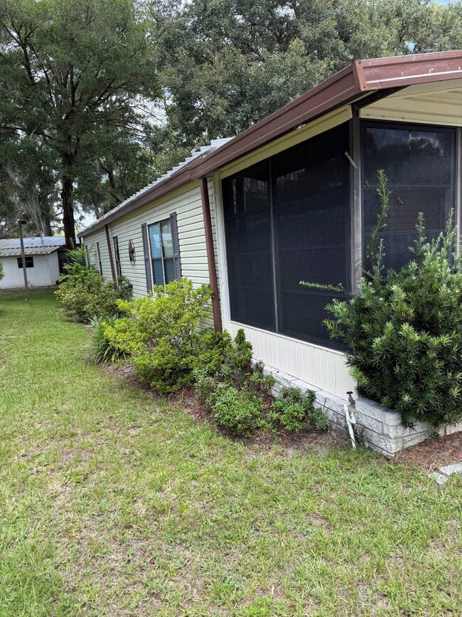Side yard