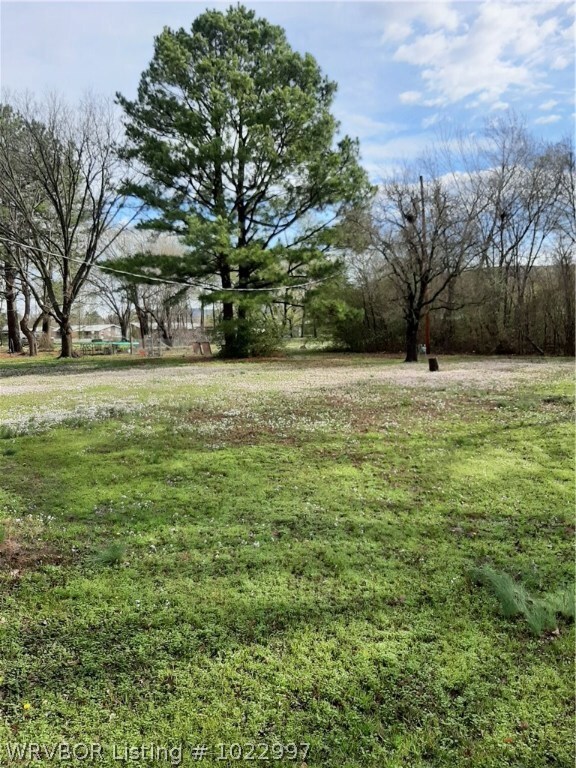 Rear yard