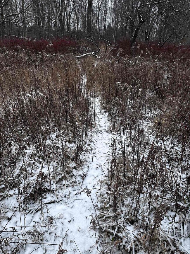 01 Matthew Dr, Birnamwood, WI 54414 - photo 5