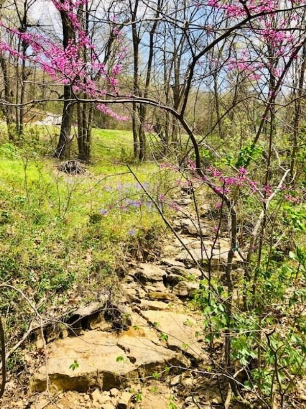 14108 S Highway 71, West Fork, AR 72774 - photo 5