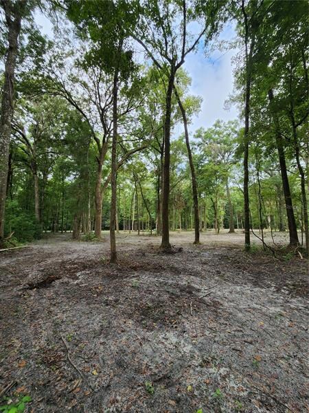 Lot 50 SW Boston Terrace, Fort White, FL 32038 - photo 5