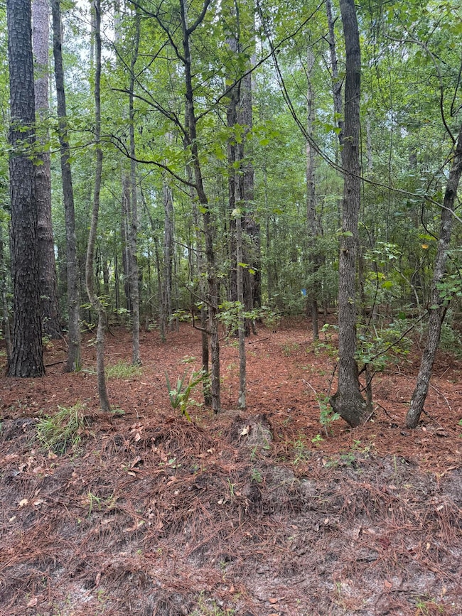 00 Charles St, Varnville, SC 29944 - photo 2