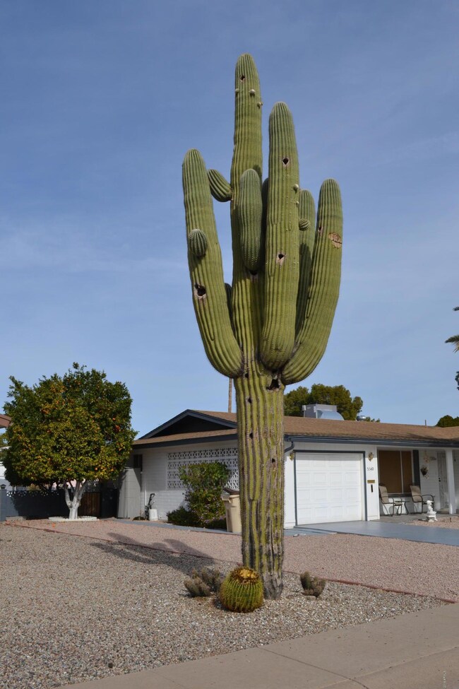5334 E DUNCAN Mesa