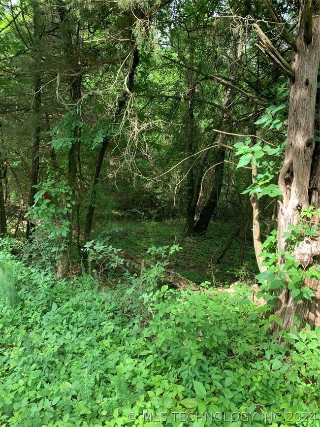 0 S 4730 Rd unit 2418913, Muldrow, OK 74948 - photo 4