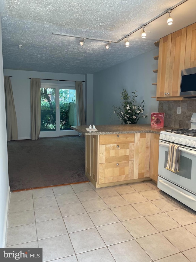 118 G St SW unit 110, Washington, DC 20024 - photo 6