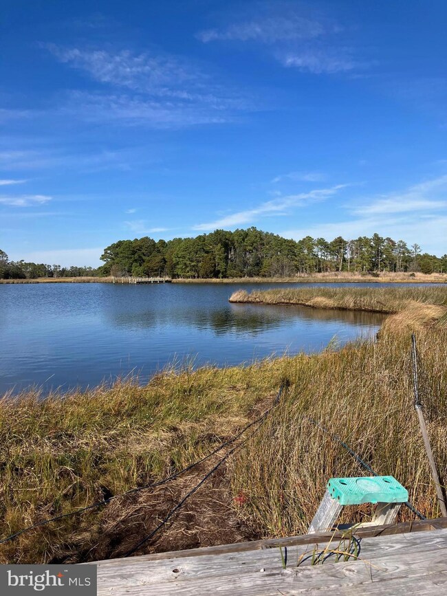 1866 Saint Thomas Church Rd, Toddville, MD 21672 - photo 2