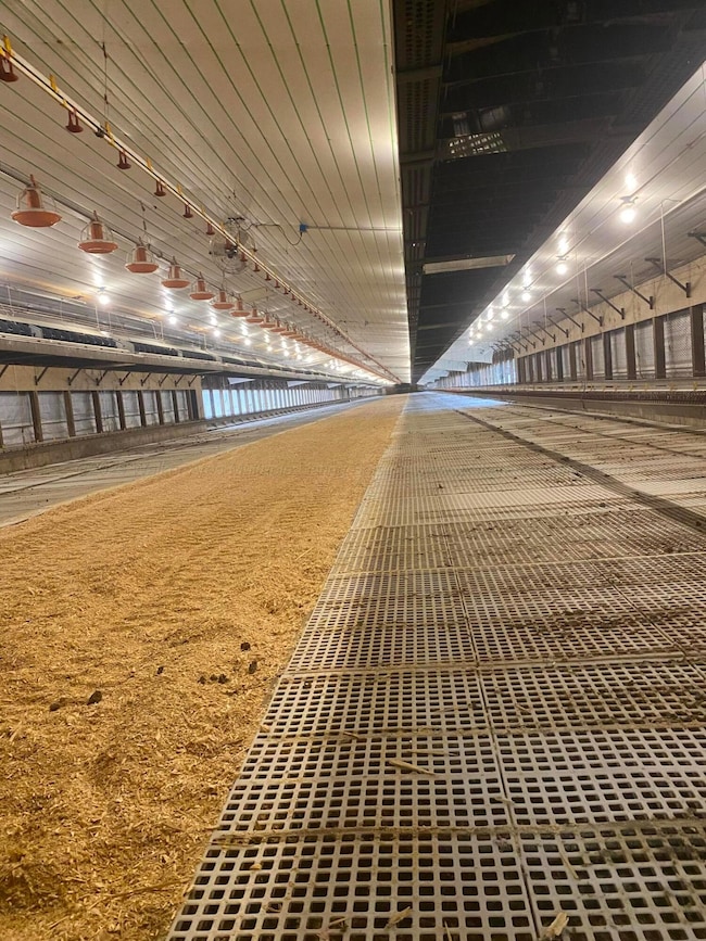 3061 County Road 51, Fayette, AL 35555 - photo 6