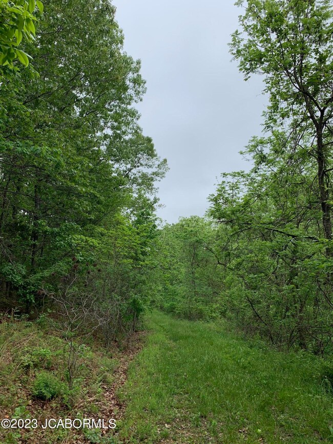Land Photo 5