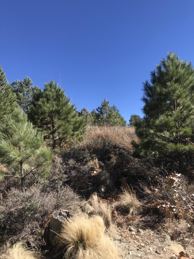 Open space to build
