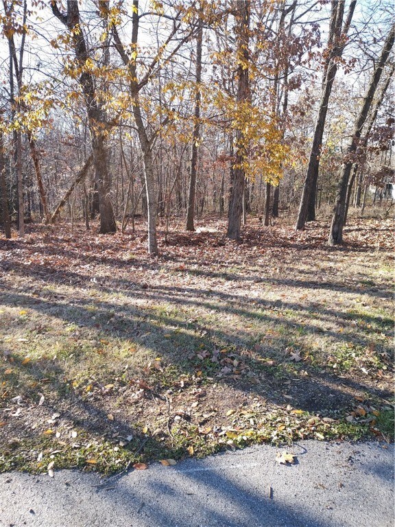 0 Cheddar Cir, Bella Vista, AR 72715 - photo 2