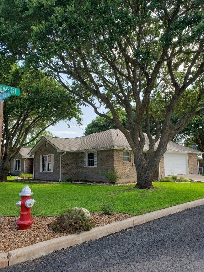 106 Tanglewood Dr, Fredericksburg, TX 78624 - photo 4