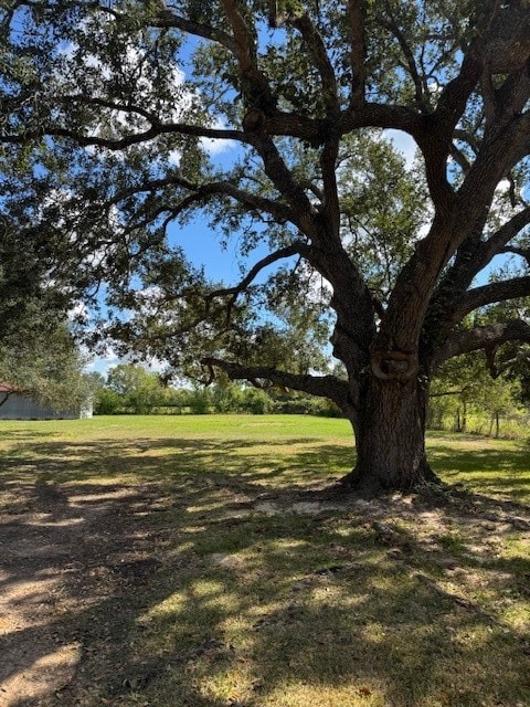 22914 Fm 362 Rd, Waller, TX 77484 - photo 7