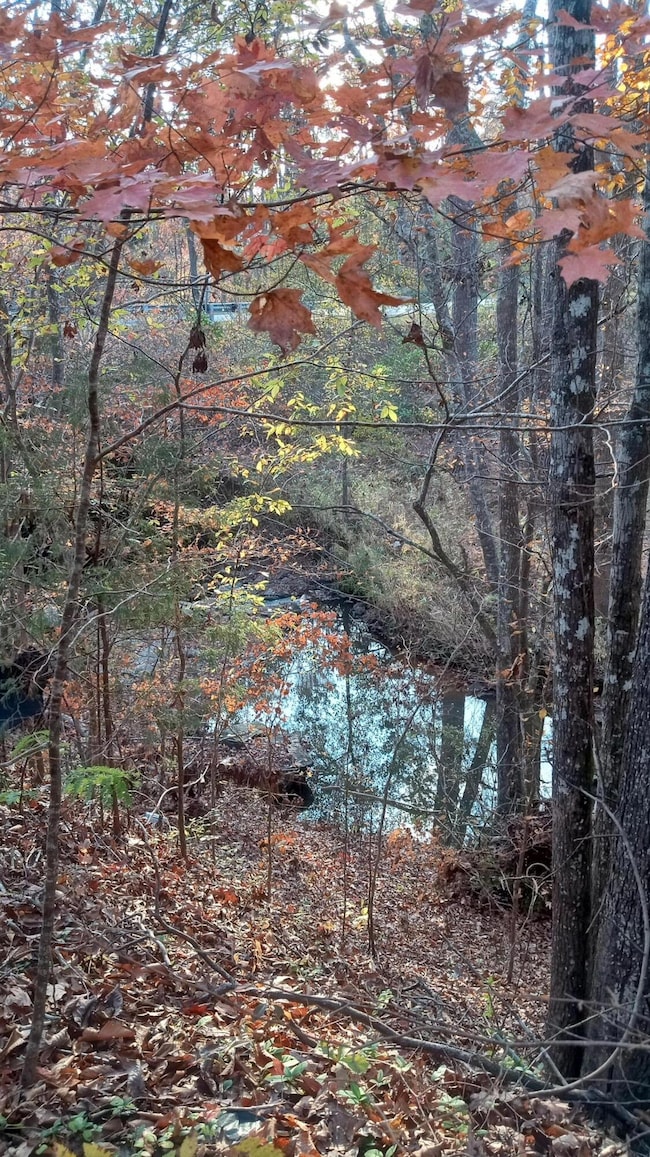 IMG_20241126_160026320_HDR