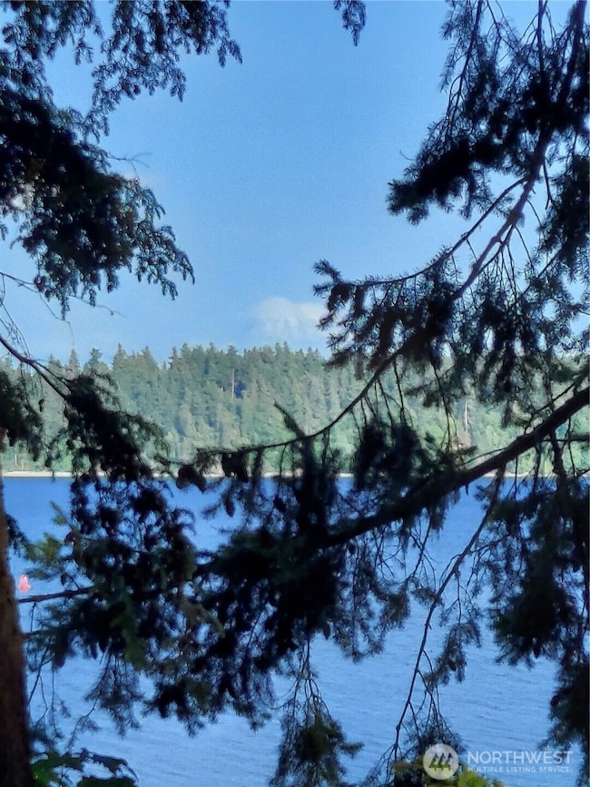 8213 159th Ave SW, Longbranch, WA 98351 - photo 6
