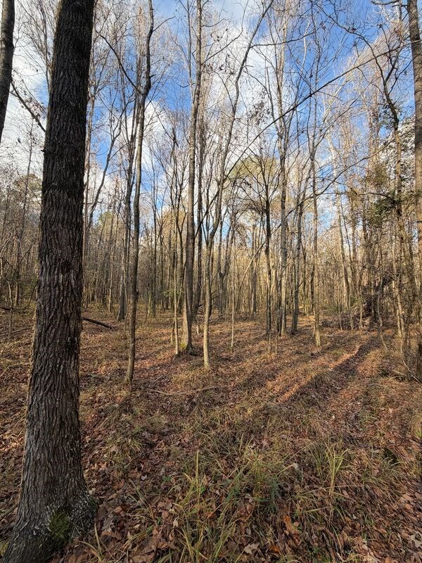 000 Rd, Grenada, MS 38901 - photo 5