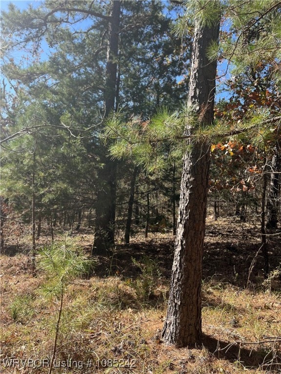 TBD S Booth Ave, Wister, OK 74966 - photo 4