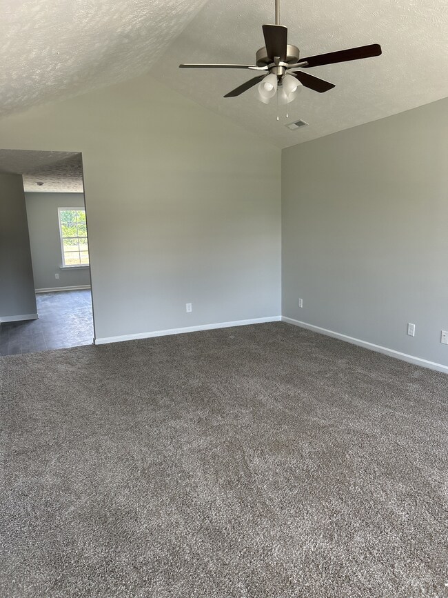 214 Meadow Dr, Shelbyville, TN 37160 - photo 6