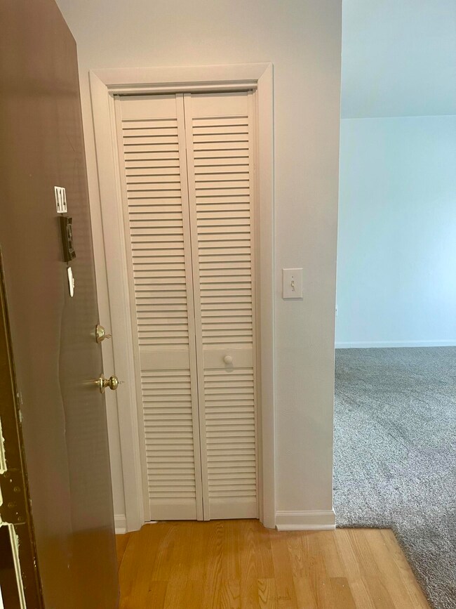 Foyer & Hall Closet