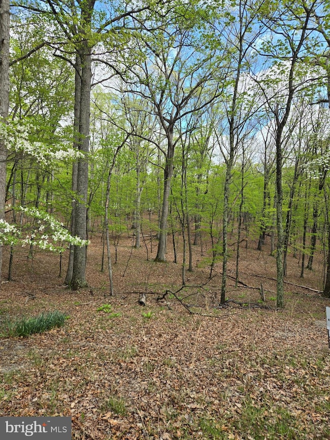 0 Pioneer Trail unit WVMO2005610, Great Cacapon, WV 25422 - photo 4