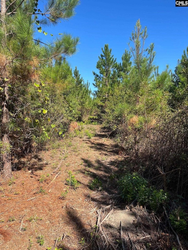 Bff 1e Brunson Teal Rd unit Bff 1e, Patrick, SC 29584 - photo 6