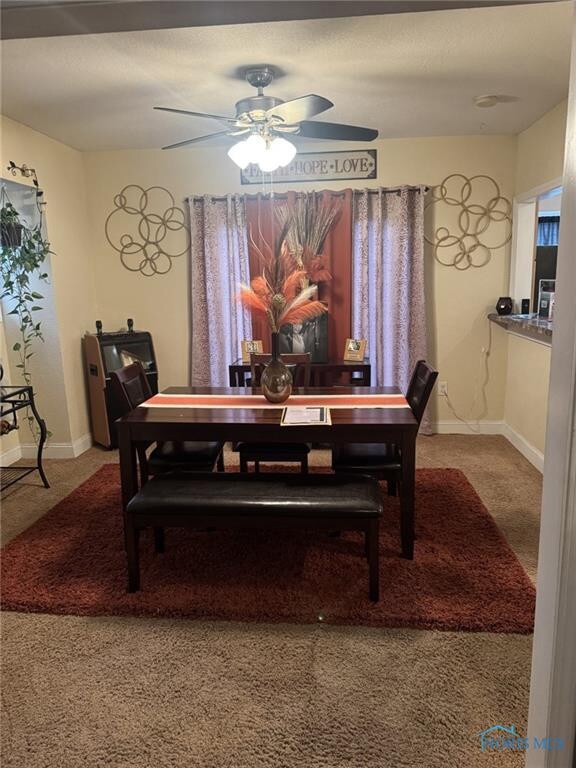 4228 Burnham Ave, Toledo, OH 43612 - photo 4