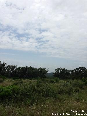 8634 Terra Mont, San Antonio, TX 78255 - photo 3