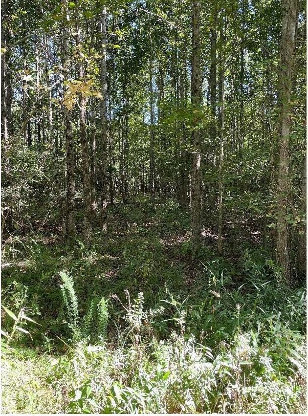 1234 Greene 756 Rd, Jonesboro, AR 72405 - photo 2