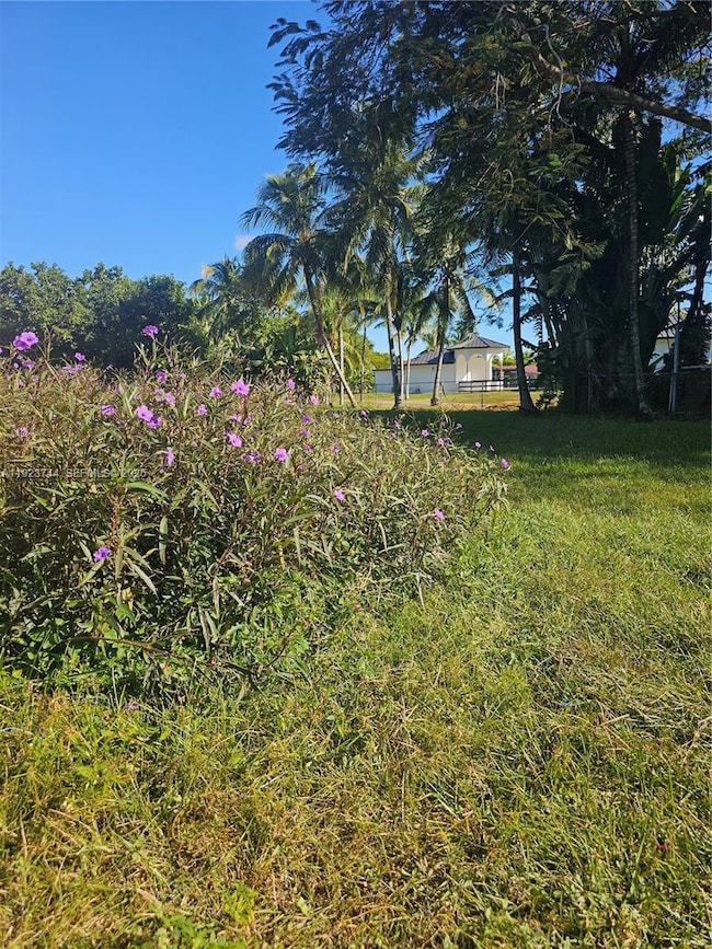 6255 SW 123rd Ave, Miami, FL 33183 - photo 2