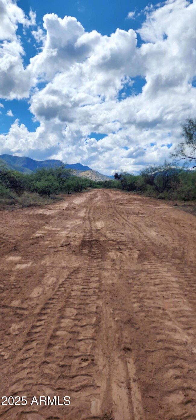 TBD E Ramsey Canyon Rd Lot D -- unit D, Hereford, AZ 85615 - photo 6