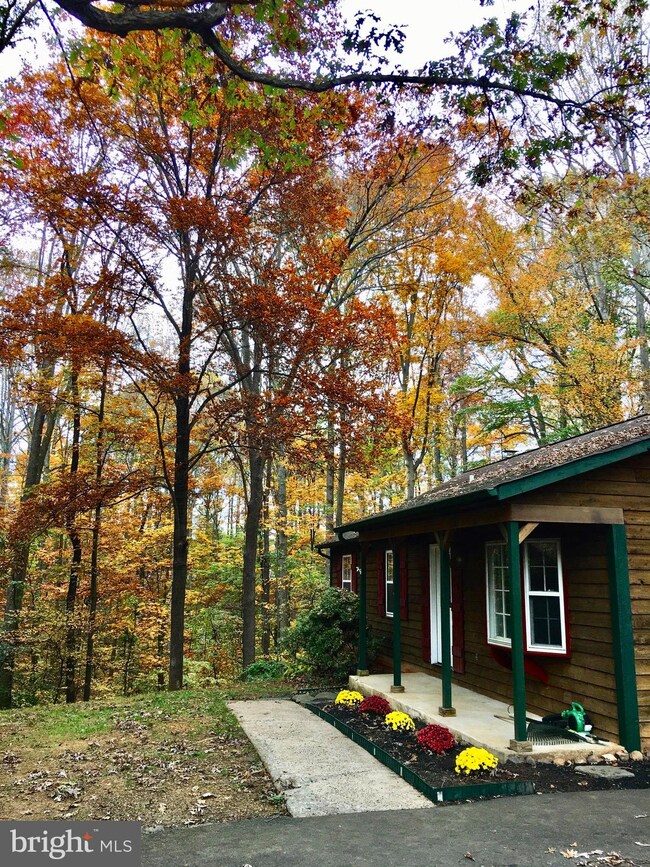 6306 Shannon Ct, Warrenton, VA 20187 - photo 5