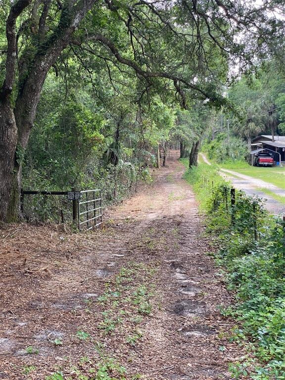 Front gate near the road