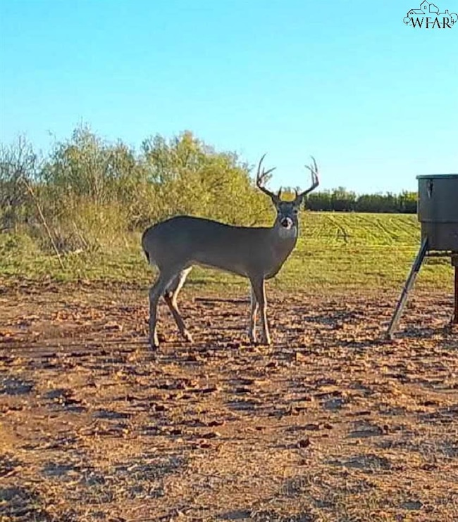 0 State Highway 25, Electra, TX 76360 - photo 2