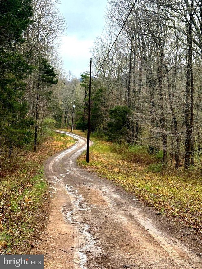 11135 S Fork Rd, Moorefield, WV - photo 7