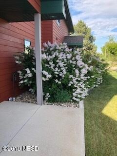 1078 PRETTY LANDSCAPING Bushes